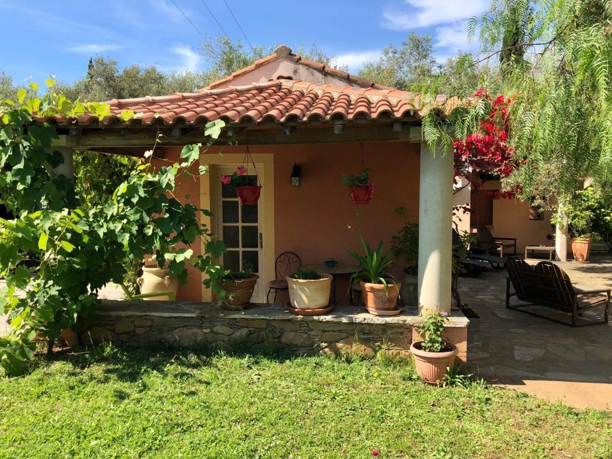Domaine Le Clos Des Oliviers Sorbo-Ocagnano Exterior foto