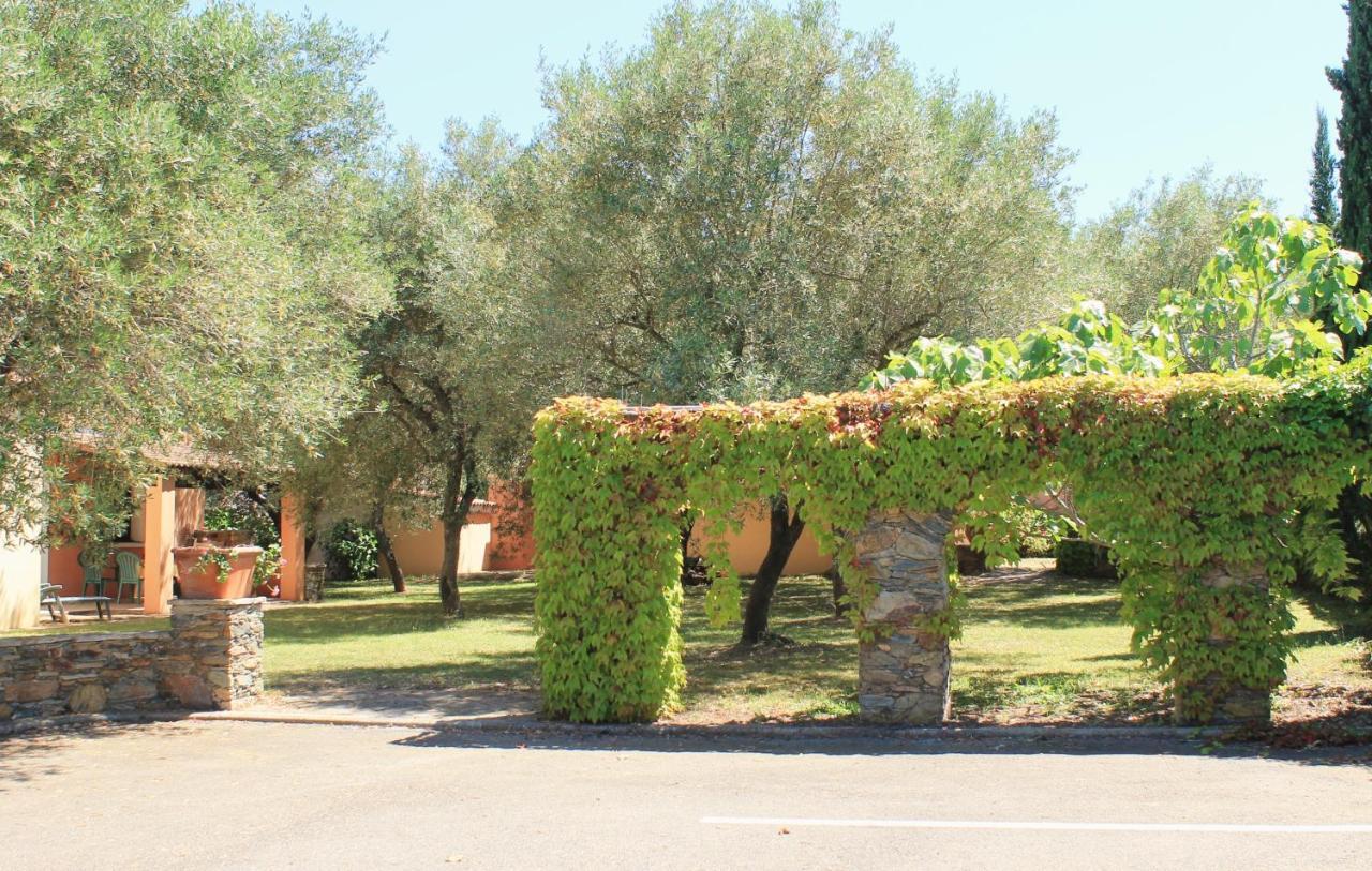 Domaine Le Clos Des Oliviers Sorbo-Ocagnano Exterior foto