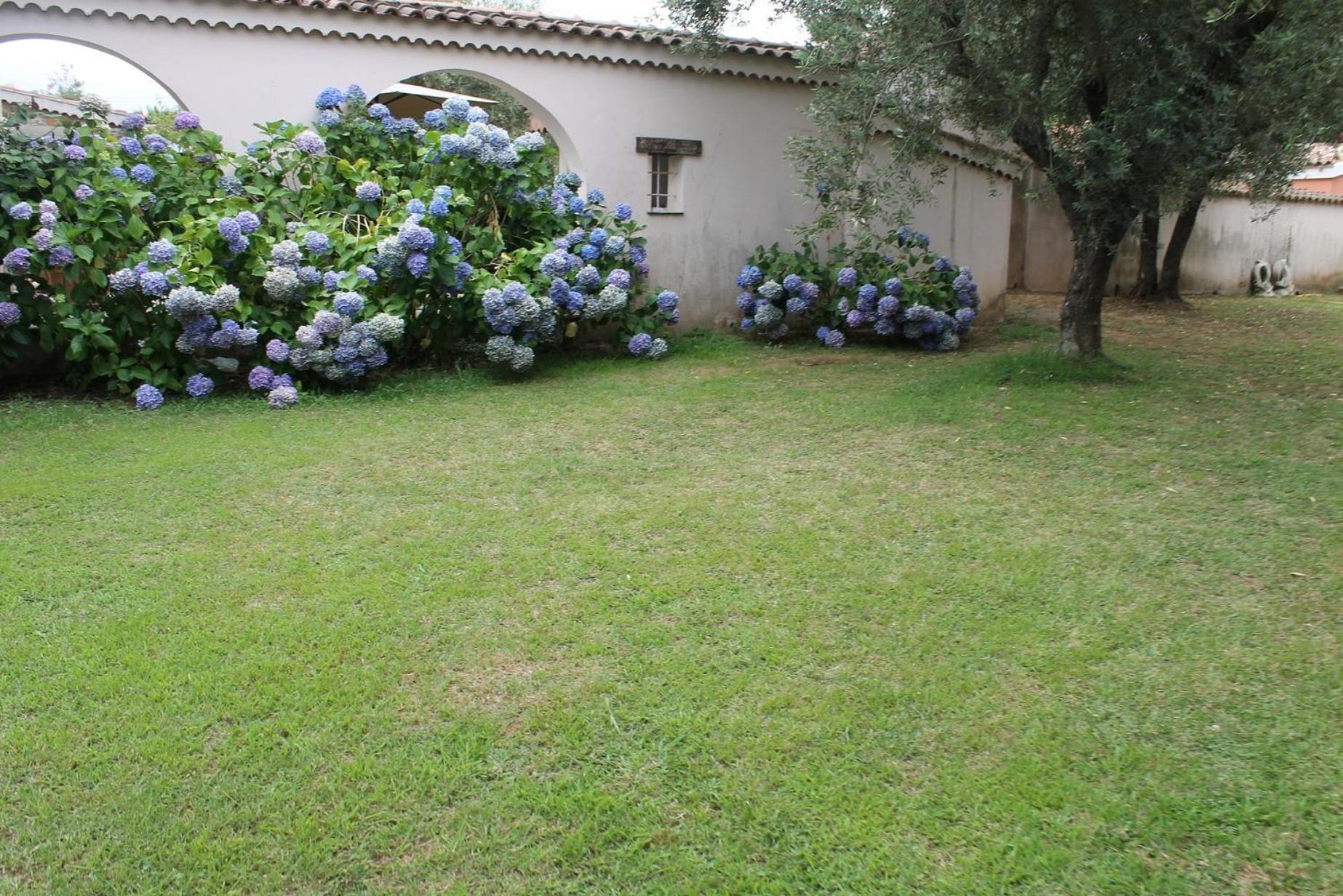 Domaine Le Clos Des Oliviers Sorbo-Ocagnano Exterior foto