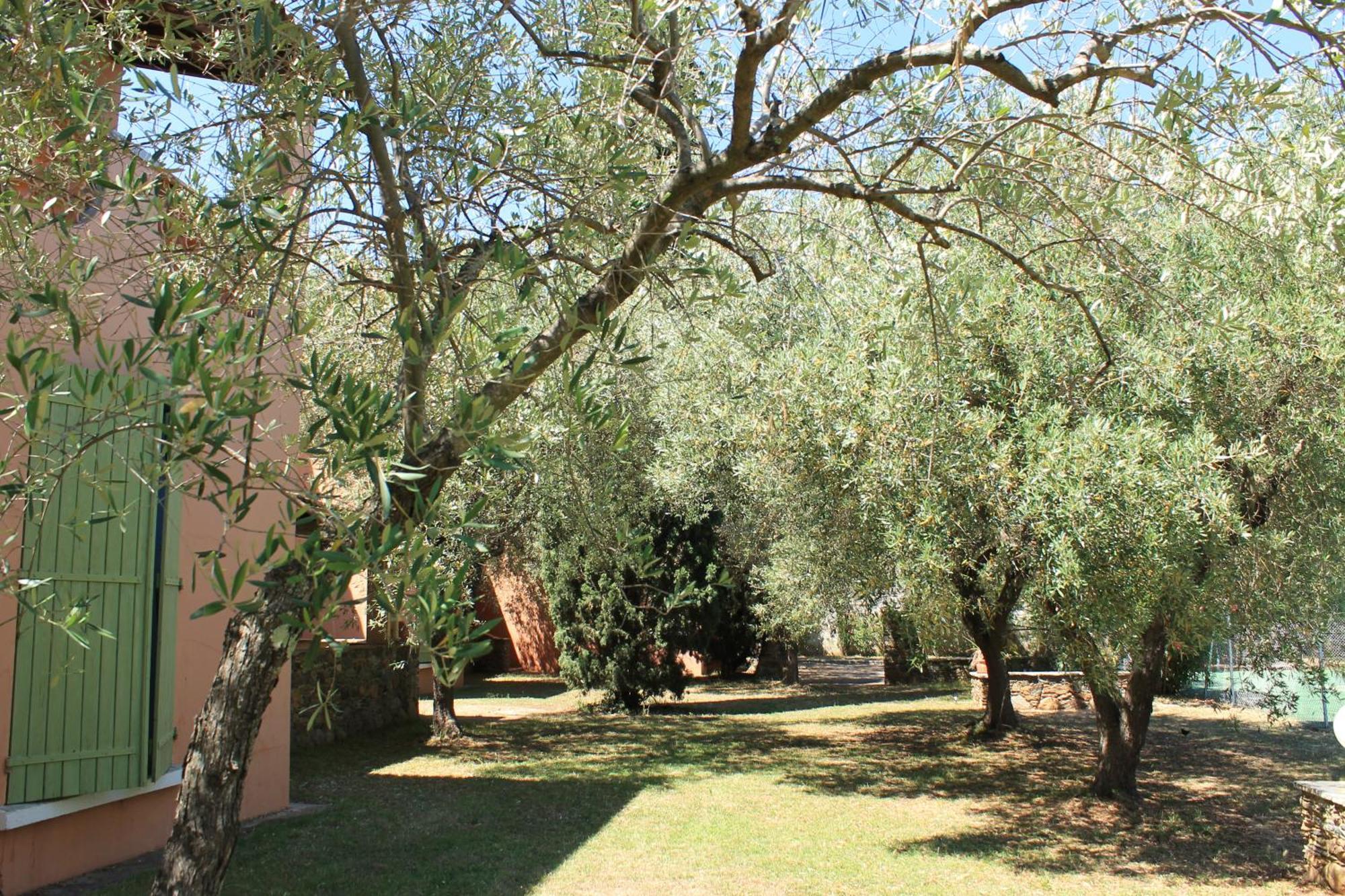 Domaine Le Clos Des Oliviers Sorbo-Ocagnano Exterior foto