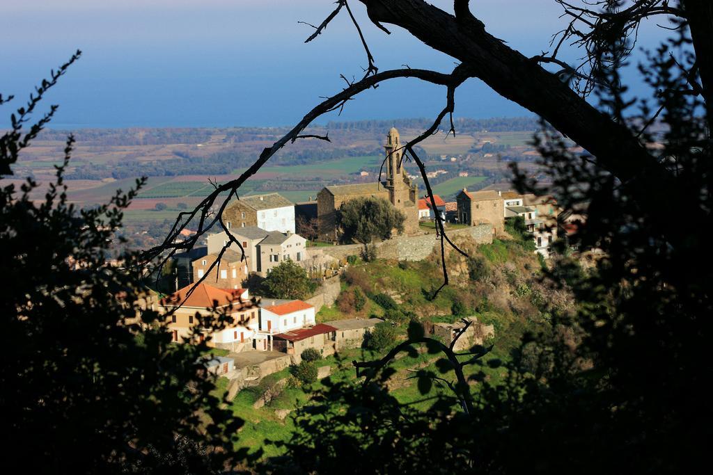 Domaine Le Clos Des Oliviers Sorbo-Ocagnano Exterior foto