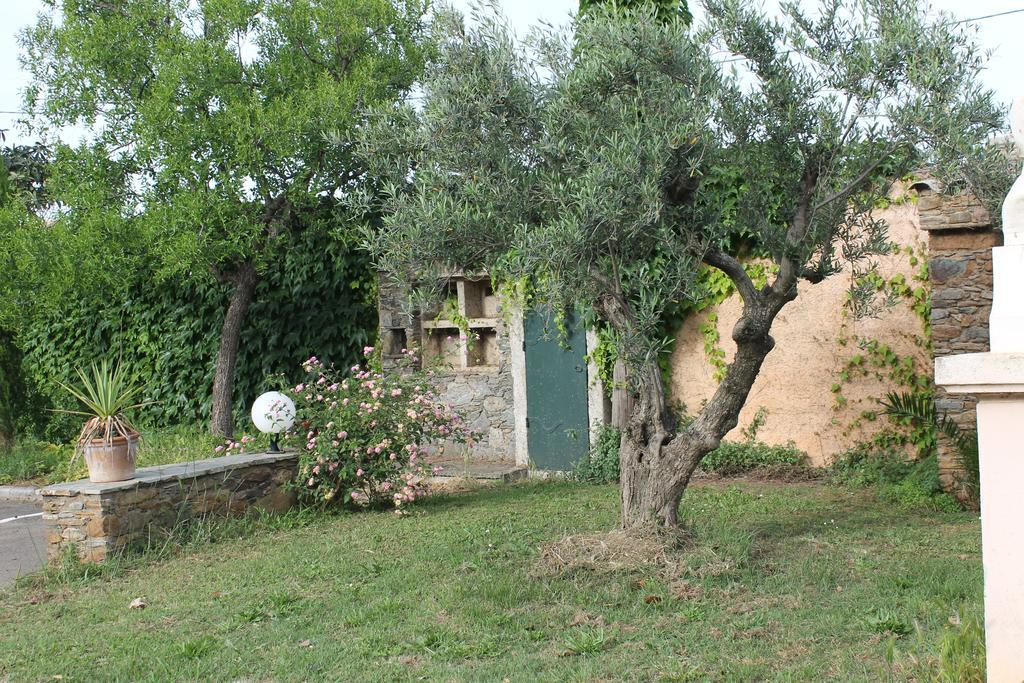 Domaine Le Clos Des Oliviers Sorbo-Ocagnano Exterior foto